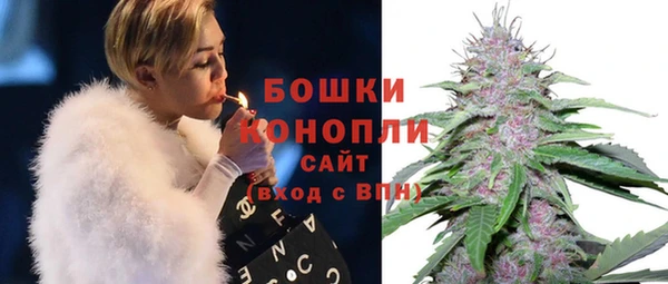 индика Арсеньев