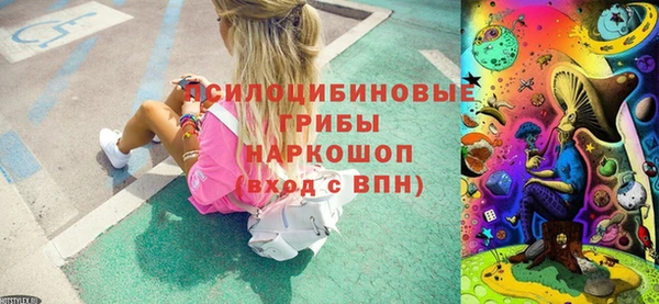СК Армянск