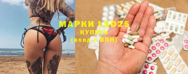 индика Арсеньев