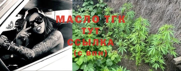 индика Арсеньев