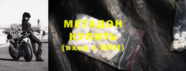 индика Арсеньев
