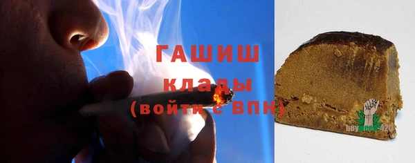 индика Арсеньев