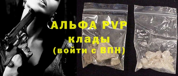 индика Арсеньев