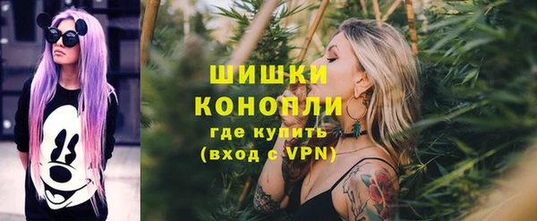 спиды Аркадак