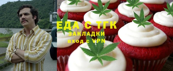 индика Арсеньев