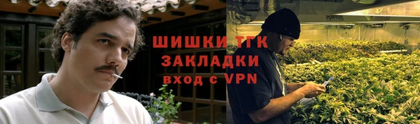 индика Арсеньев