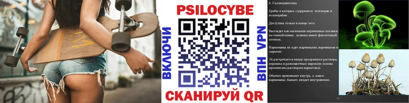 хочу наркоту  Балей  Псилоцибиновые грибы Psilocybine cubensis 